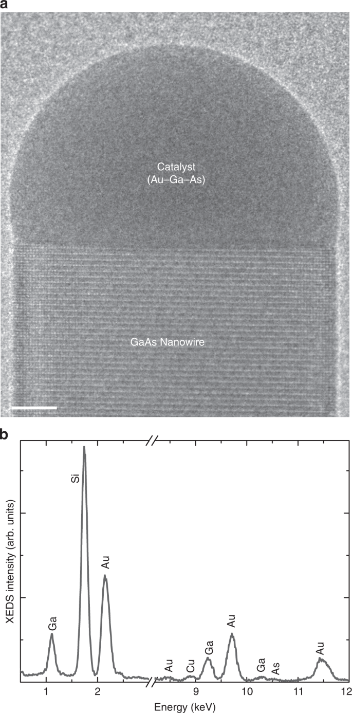 In situ analysis of catalyst composition during gold catalyzed GaAs  nanowire growth | Nature Communications
