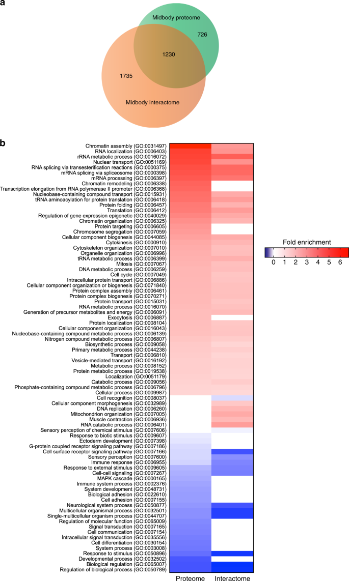 The Midbody Interactome Reveals Unexpected Roles For Pp1 Phosphatases In Cytokinesis Nature Communications