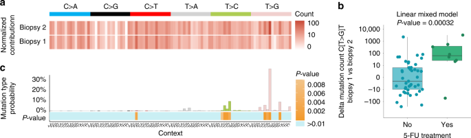 5 Fluorouracil Treatment Induces Characteristic T G Mutations In Human Cancer Nature Communications