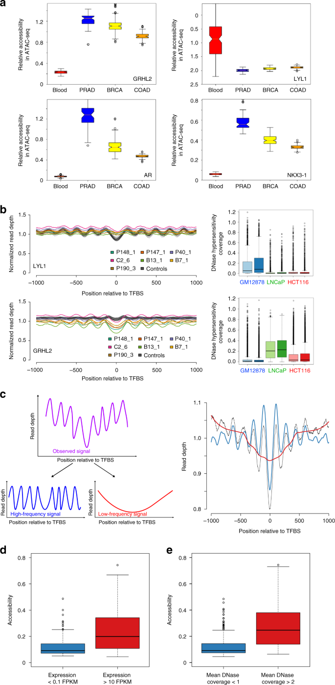 Inference Of Transcription Factor Binding From Cell Free Dna - 