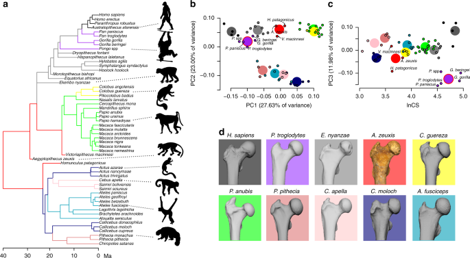 figure3