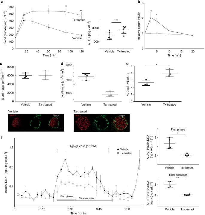 Glucose Homeostasis Is Regulated By Pancreatic B Cell Cilia Via Endosomal Epha Processing Nature Communications