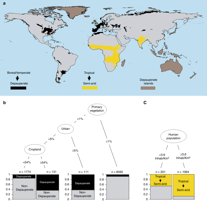 Climate Shapes Mammal Community Trophic Structures And Humans Simplify Them Nature Communications