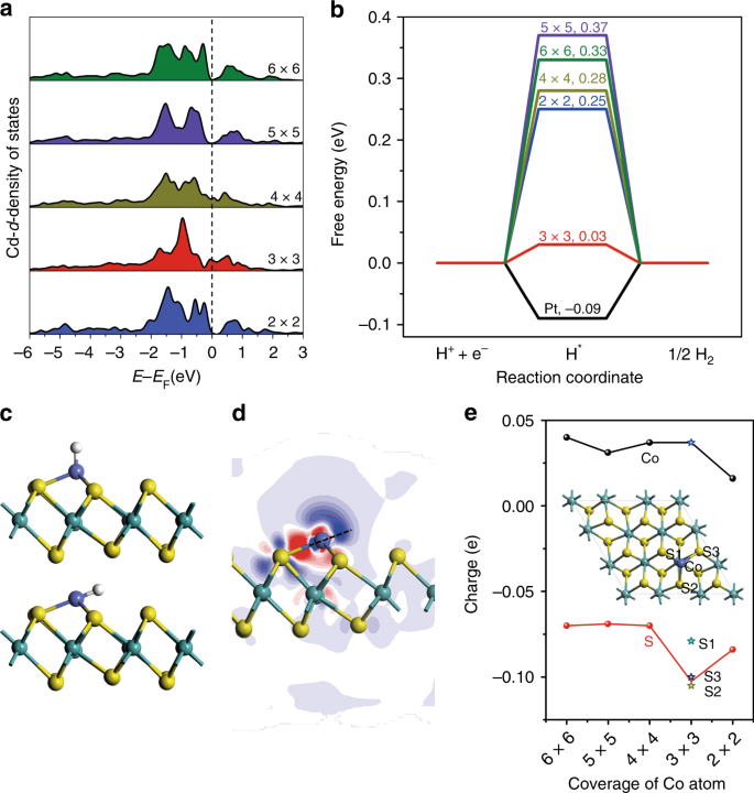 Distortion-Induced Interfacial Charge Transfer at Single Cobalt Atom  Secured on Ordered Intermetallic Surface Enhances Pure Oxygen Production