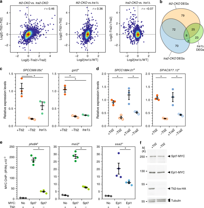 Chaperone-mediated ordered assembly of the SAGA and NuA4 transcription  co-activator complexes in yeast | Nature Communications