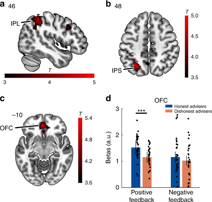 Neural representations of honesty predict future trust behavior Neural representations of honesty predict future trust behavior