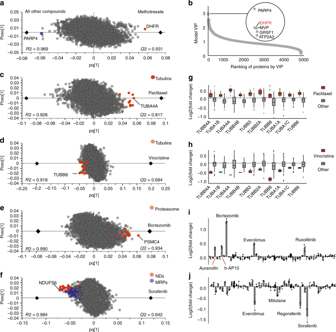 Protargetminer As A Proteome Signature Library Of Anticancer Molecules For Functional Discovery Nature Communications