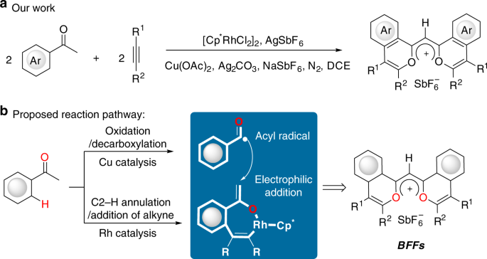 Fig. 2: Merging radical chemistry with C–H activation to construct BFFs.