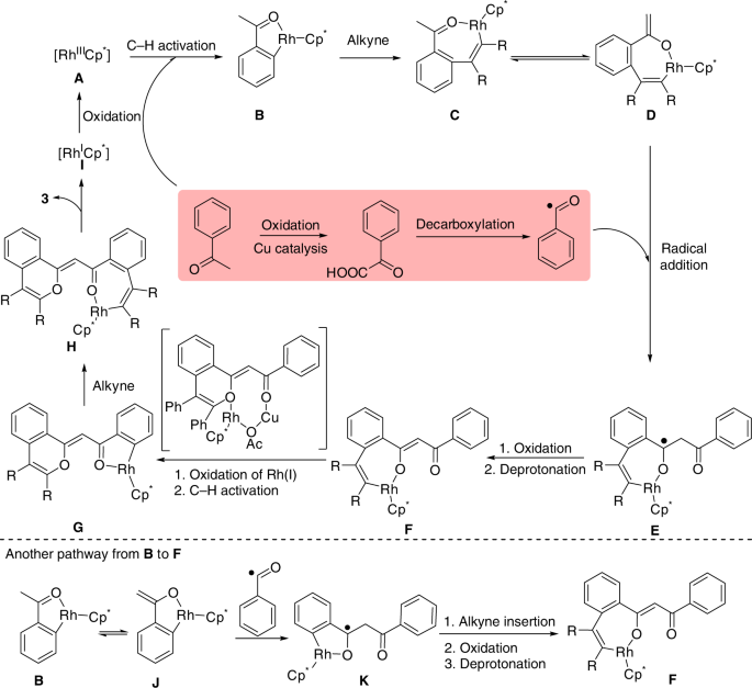 Fig. 7: Plausible catalytic cycle.