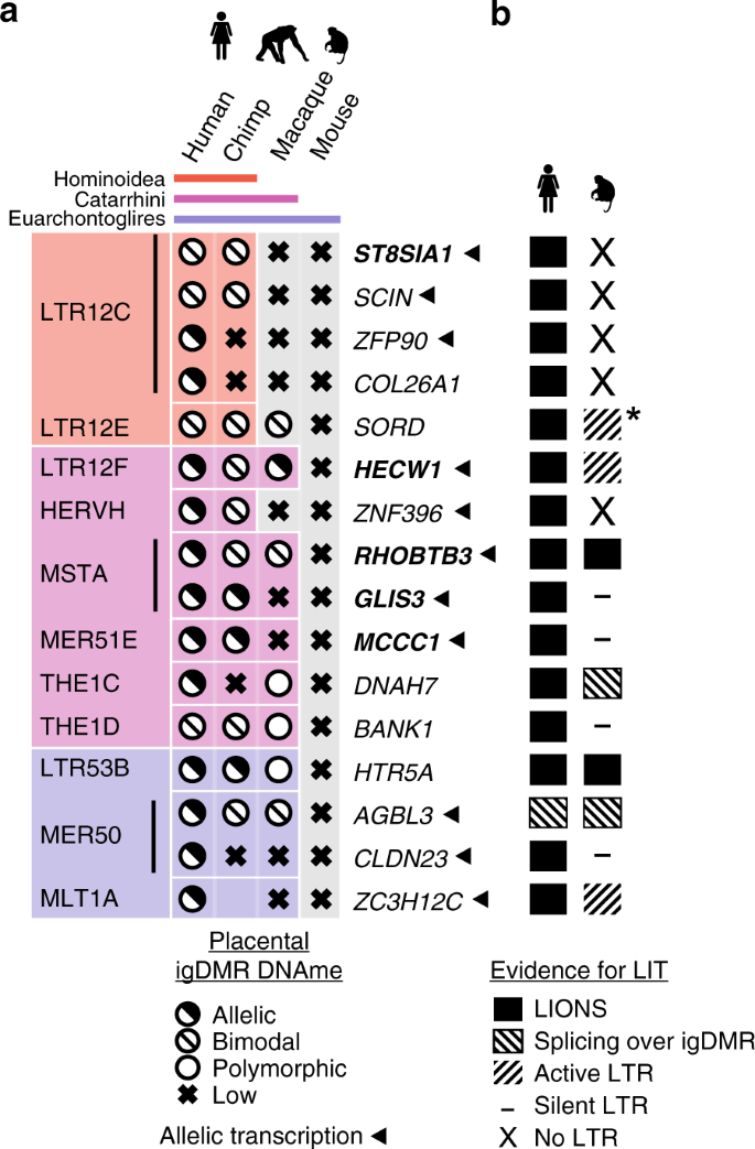Evolution Of Imprinting Via Lineage Specific Insertion Of Retroviral Promoters Nature Communications