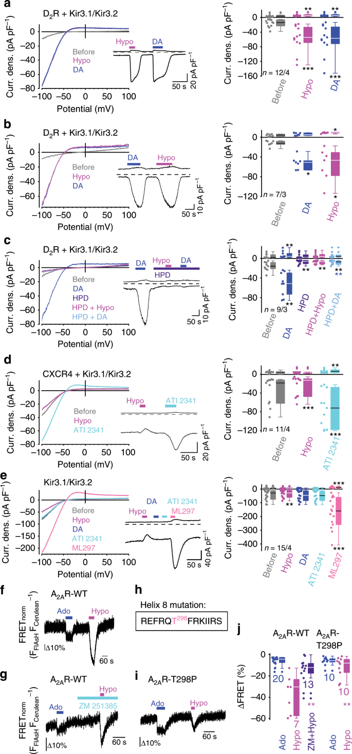 Helix 8 Is The Essential Structural Motif Of Mechanosensitive Gpcrs Nature Communications