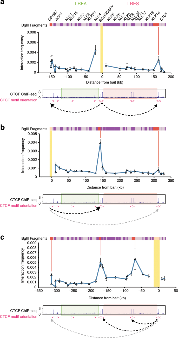 Constitutively Bound Ctcf Sites Maintain 3d Chromatin Architecture And Long Range Epigenetically Regulated Domains Nature Communications