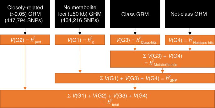 Fig. 1: Overview of the four-variance component models.