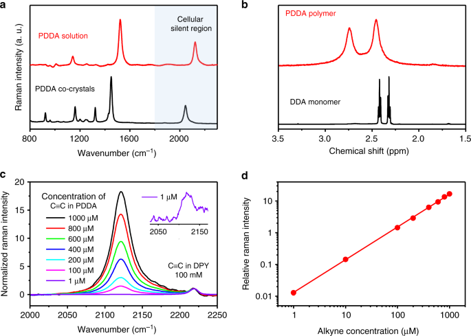 Polydiacetylene-based ultrastrong bioorthogonal Raman probes for targeted  live-cell Raman imaging | Nature Communications