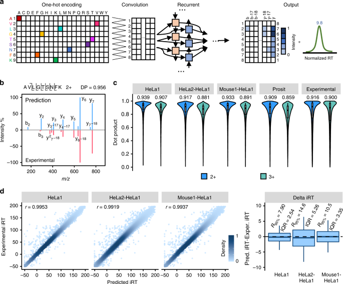 In silico spectral libraries by deep learning facilitate data-independent  acquisition proteomics | Nature Communications