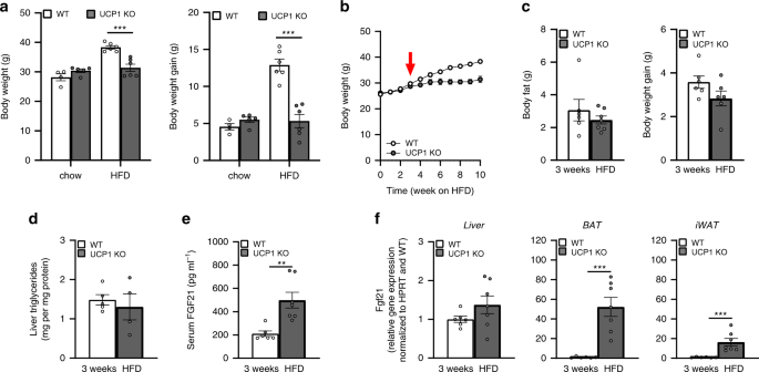 Endogenous Fgf21 Signaling Controls Paradoxical Obesity Resistance Of Ucp1 Deficient Mice Nature Communications