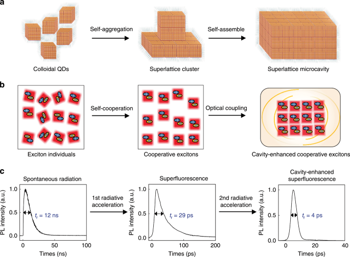 Fig. 1: Linking “self-assembly of QDs” to “phase transitions of exciton ensemble”, and “optimization of radiative features”.