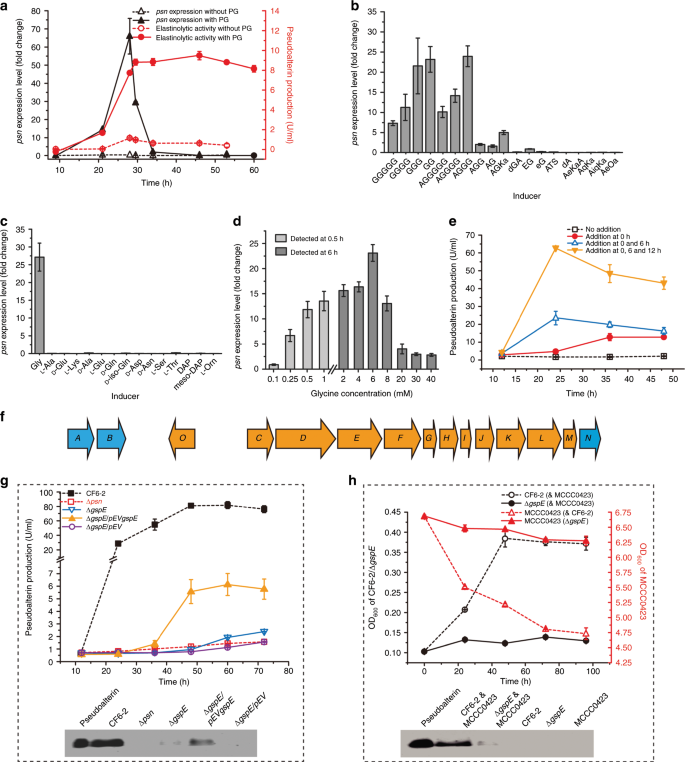 Fig. 4: Induction and secretion of pseudoalterin in strain CF6-2.