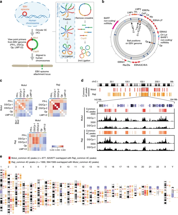 www begenomics com