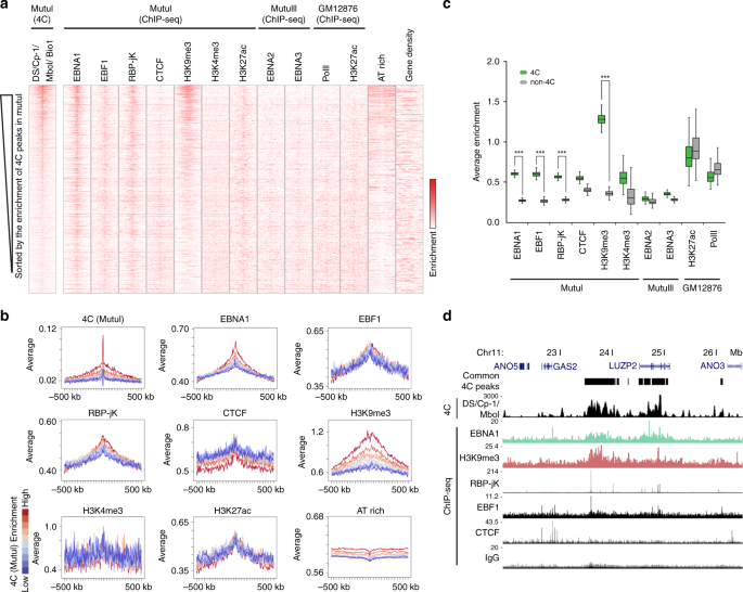 Fig. 3: Epigenetic signature of EBV tethering sites.