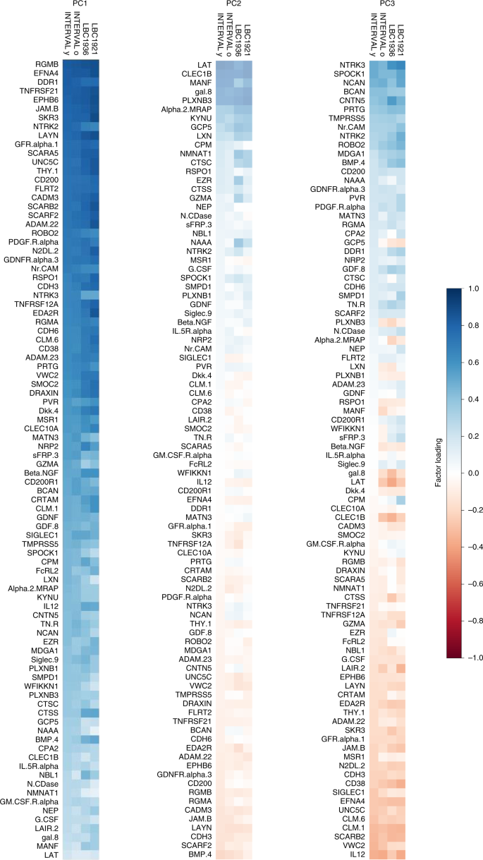 Fig. 2: Heatmaps illustrating the loadings for individual proteins for the first three protein principal components for each cohort.