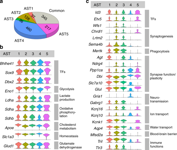 Fig. 3: Identification of common and differentially expressed genes in astrocytes.