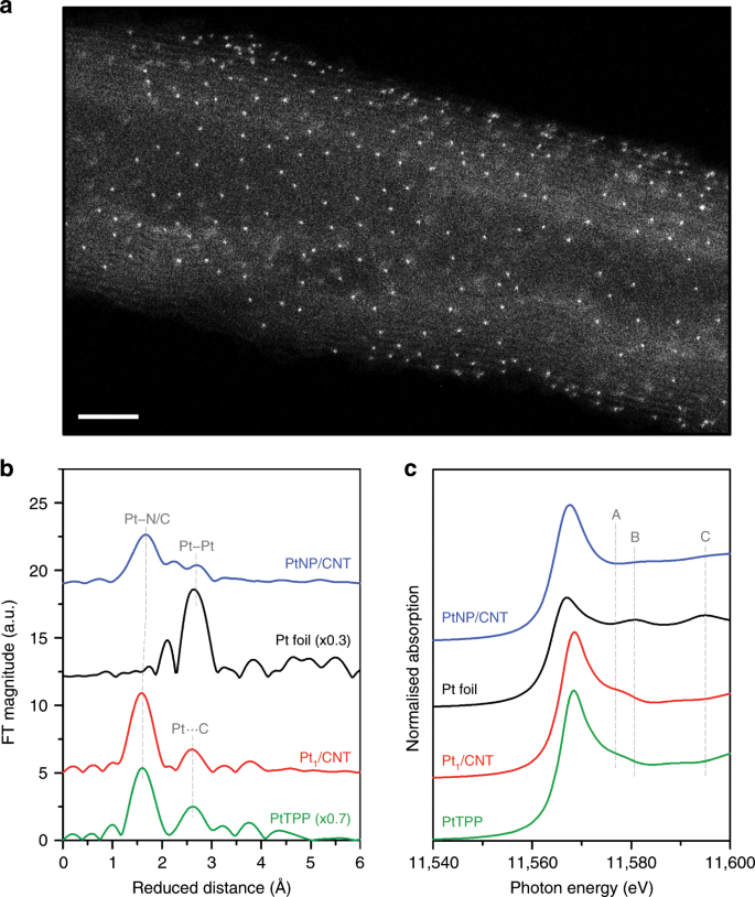 Atomically Dispersed Pt N 4 Sites As Efficient And Selective Electrocatalysts For The Chlorine Evolution Reaction Nature Communications