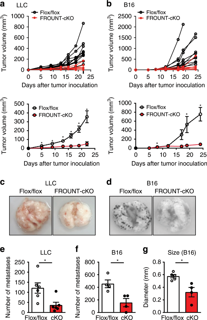 Targeting FROUNT with disulfiram suppresses macrophage accumulation and its  tumor-promoting properties | Nature Communications