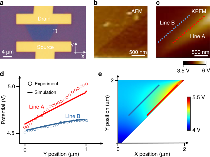 Fig. 4: SKPFM measurement of monolayer MoS2 FET.