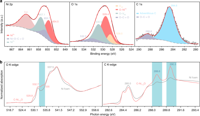 Carbon Doping Switching On The Hydrogen Adsorption Activity Of Nio For Hydrogen Evolution Reaction Nature Communications