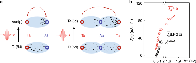 Chiral Terahertz Wave Emission From The Weyl Semimetal Taas Nature Communications