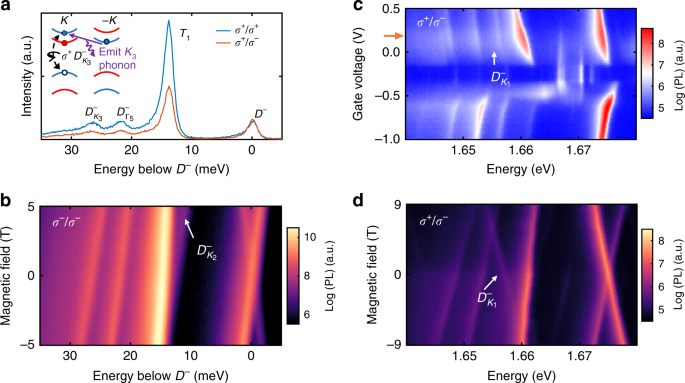 Fig. 3: Valley phonon replicas of negatively charged dark trion.