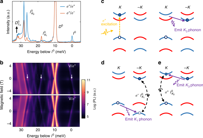 Fig. 4: Identification of intervalley dark exciton and its valley phonon replicas.