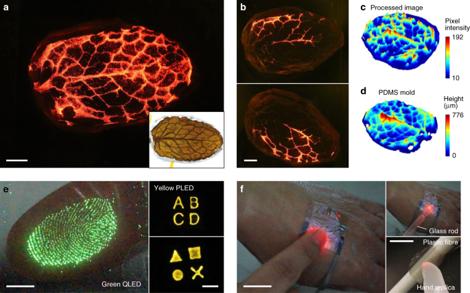 Fig. 5: Super-resolution imaging of pressure distribution.