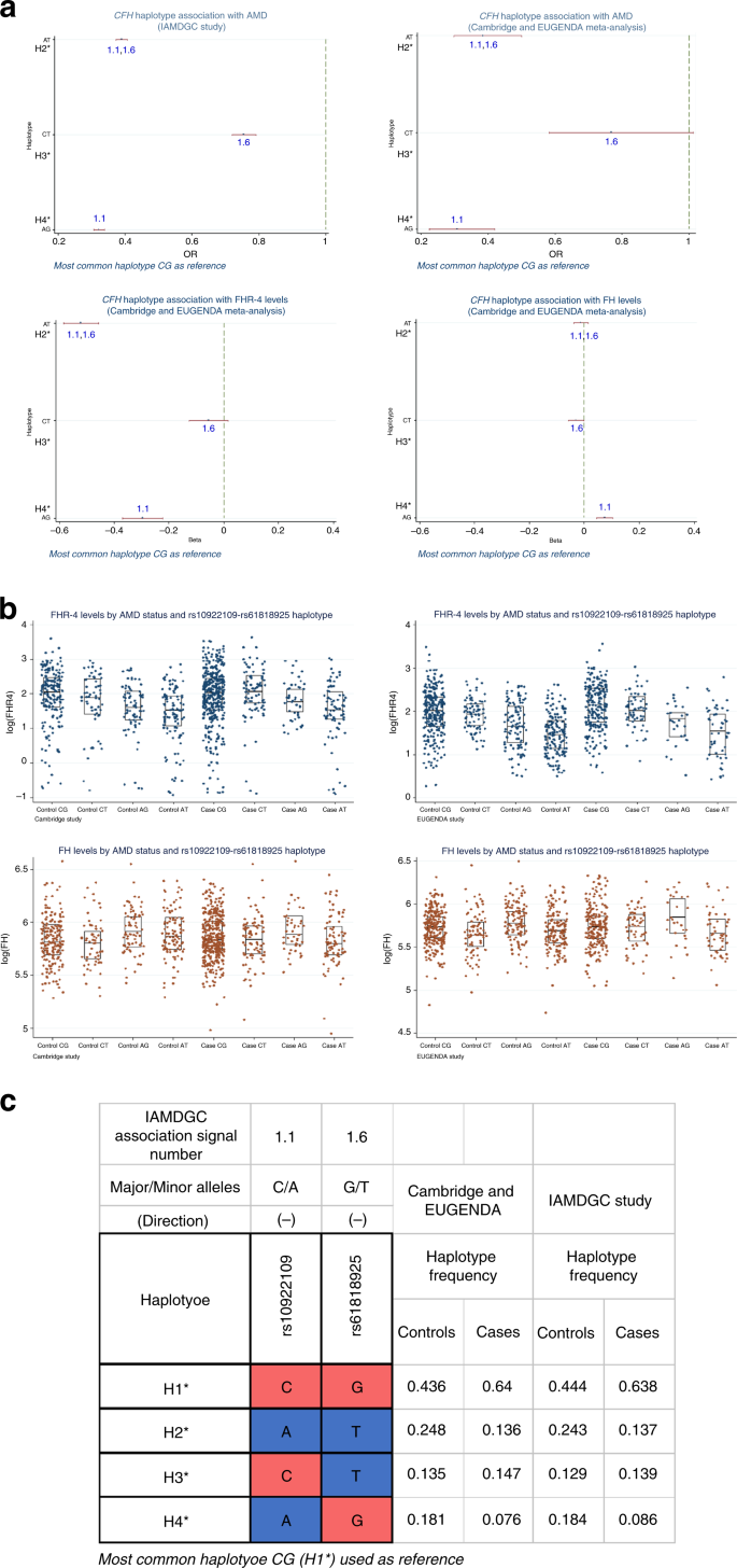 Fig. 6: The AMD-associated variants rs10922109 (1.1) and rs61818925 (1.6) are a minimal set of variants that explain the genetic effect on FHR-4 levels at the CFH locus.