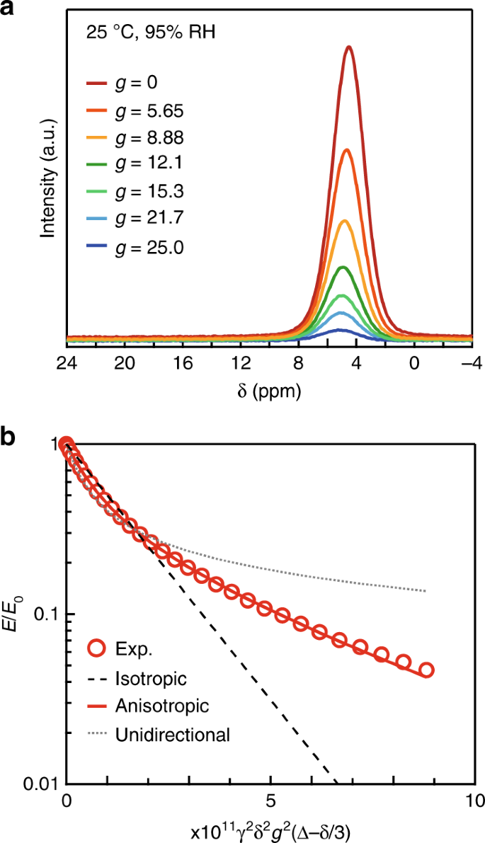 Confined Water Mediated High Proton Conduction In Hydrophobic Channel Of A Synthetic Nanotube Nature Communications