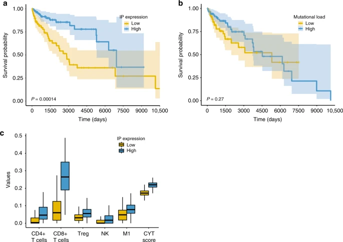 Immunoproteasome expression is associated with better prognosis and response to checkpoint therapies in melanoma