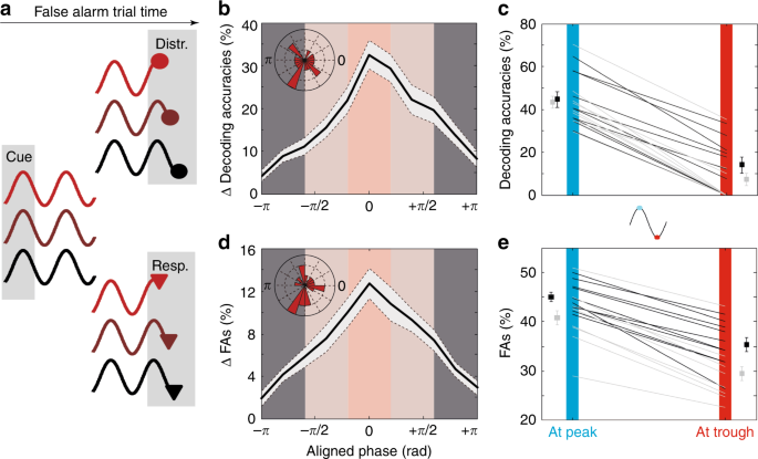 Fig. 7: PFC distractor related information and false alarm rates depend on when the DISTRACTOR is presented relative to attentional oscillation cycles.
