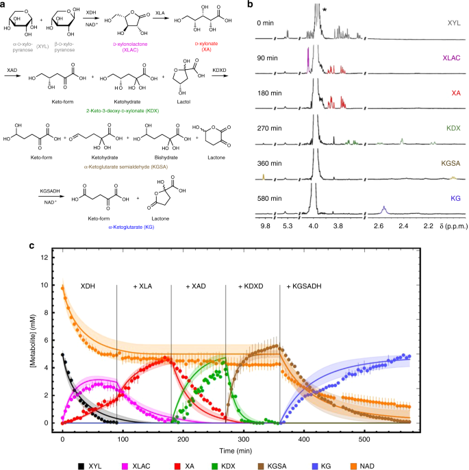 Fig. 2: Combined progress curves with single enzyme additions.