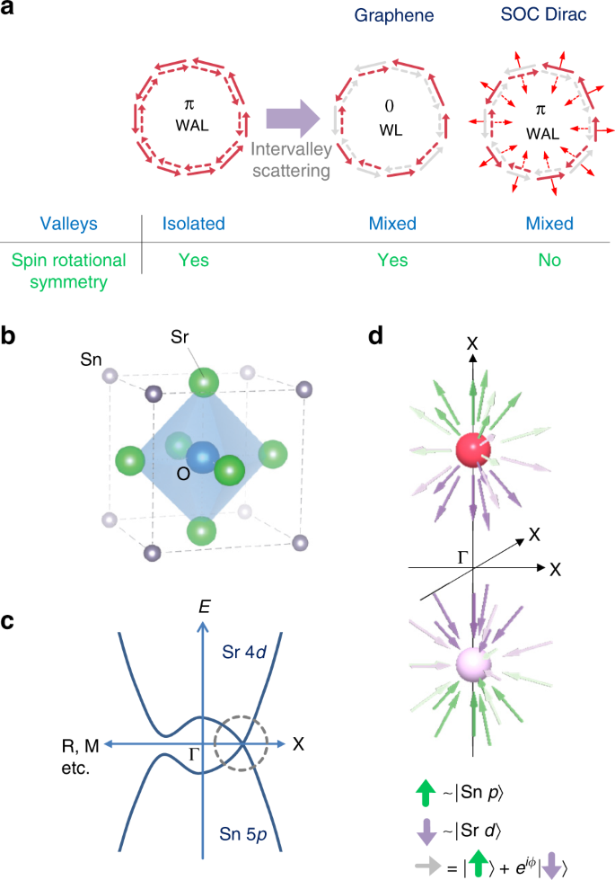 Robust weak antilocalization due to spin-orbital entanglement in