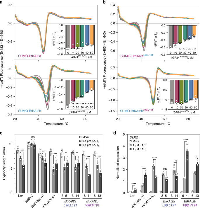 Fig. 4: Two residues account for ligand specificity between BtKAI2a and BtKAI2b.