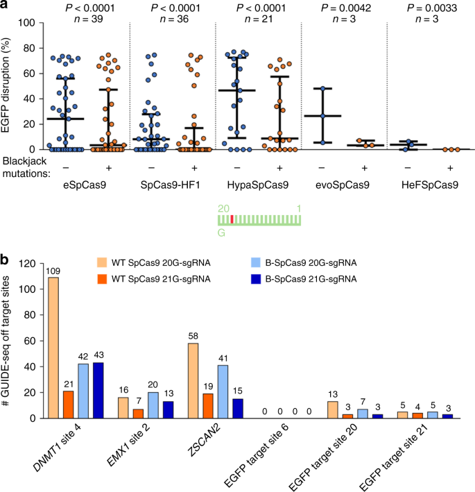 Blackjack Mutations Improve The On Target Activities Of Increased Fidelity Variants Of Spcas9 With 5 G Extended Sgrnas Nature Communications