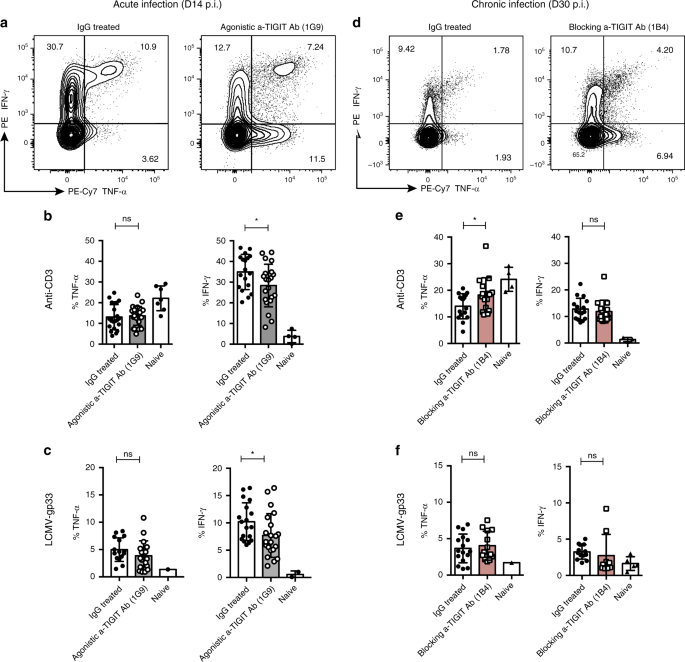 Fig. 4: TIGIT ligation results in decreased pro-inflammatory cytokine production after acute infection.