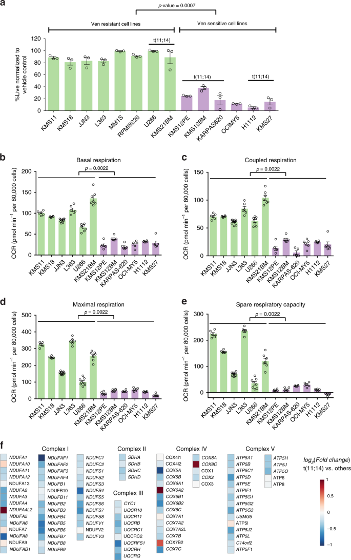 Electron transport chain activity is a predictor and target for venetoclax  sensitivity in multiple myeloma | Nature Communications