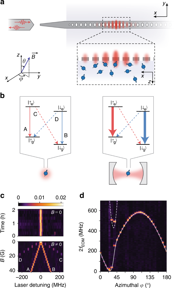 Optical quantum nondemolition measurement of a single rare earth ion qubit  | Nature Communications