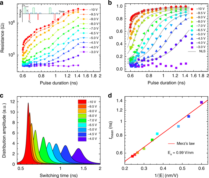 Fig. 3: Ferroelectric domain switching dynamics.