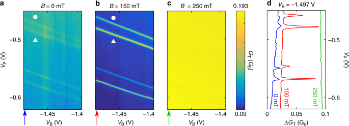 Large Spatial Extension Of The Zero Energy Yu Shiba Rusinov State In A Magnetic Field Nature Communications