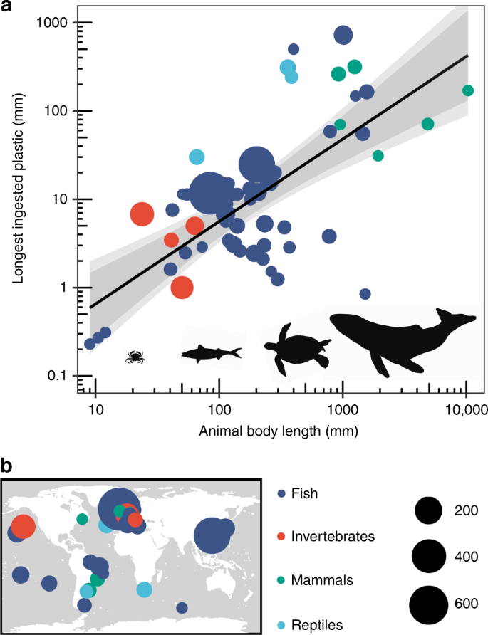 Longest Animals Free Porn