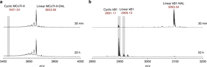 Fig. 2: Characterization of OaAEP1b activity against MCoTI-II-DAL and kB1-NAL precursors.