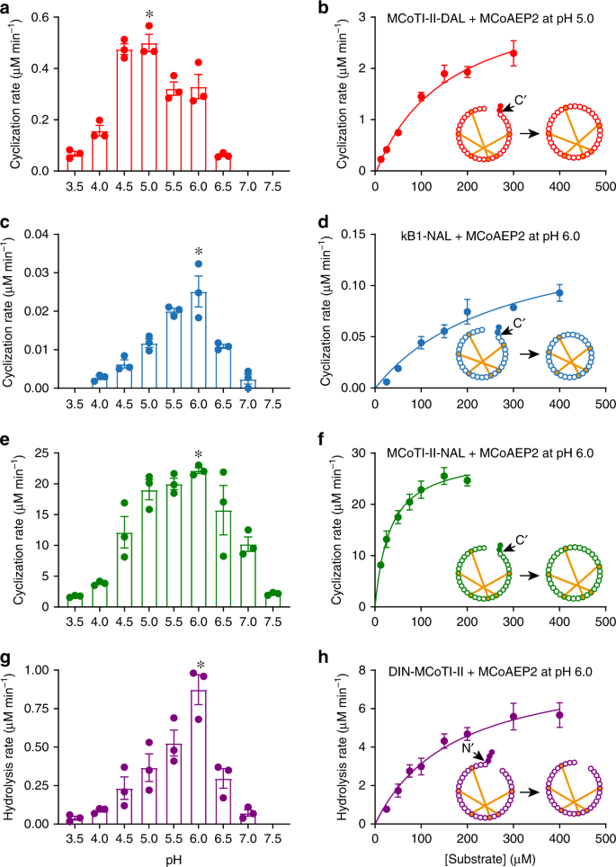 Fig. 3: pH preference and kinetic characterization of MCoAEP2.